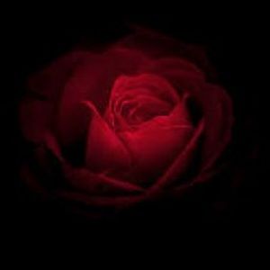 Meet your Posher, Ronald